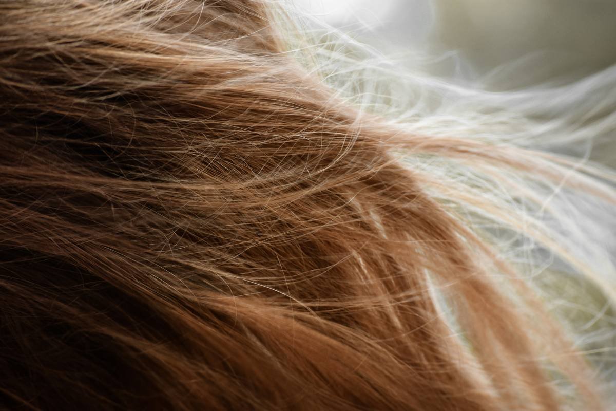 Classy Bun Arrangements That Redefine Elegance